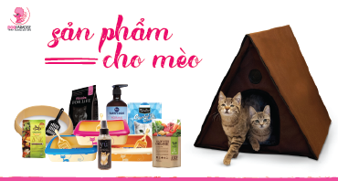 bannerindex3